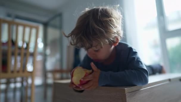Παιδί Που Δαγκώνει Μηλόπιτα Τρώει Υγιεινό Σνακ — Αρχείο Βίντεο