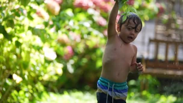 Ρίχνει Νερό Στο Μικρό Αγόρι Έξω Στον Κήπο Στο Σπίτι — Αρχείο Βίντεο