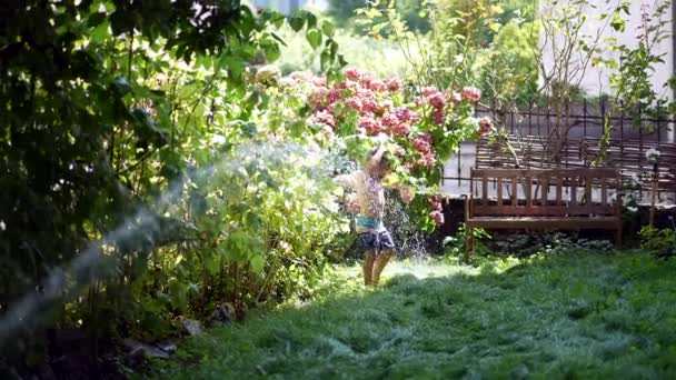 Splashing Water Little Boy Home Garden Hot Summer Day — Stock Video