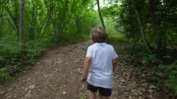 Liten Pojke Vandring Går Uppförsbacke Utanför Naturen Barn Trampar Stenar — Stockvideo