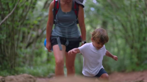 孩子们和妈妈一起在森林里远足 孩子们爬山 — 图库视频影像