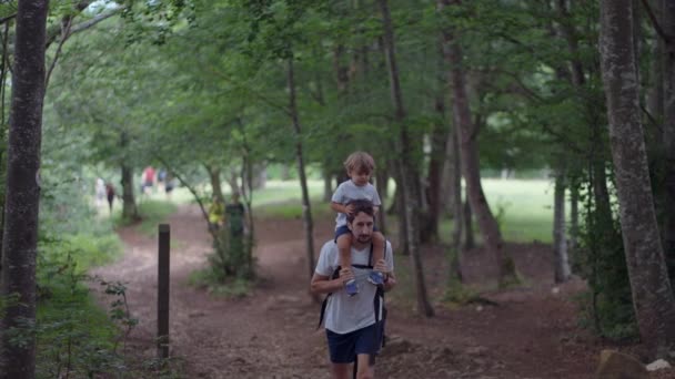 Rodzic Dziecko Spacerujący Razem Lesie Dziecko Ramionach Ojca Świeżym Powietrzu — Wideo stockowe