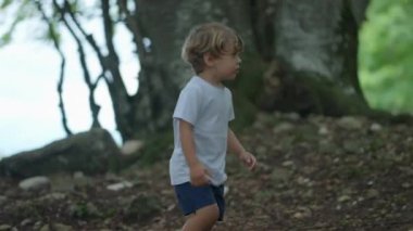 Doğada yürüyen bir çocuk küçük çocuk yeşil bir yolda yürür.