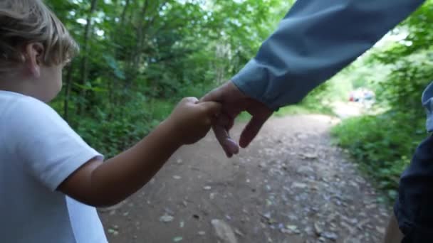親と子供が手をつないでハイキング屋外の子供は自然の中でトレッキング中に母親の手を保持します — ストック動画