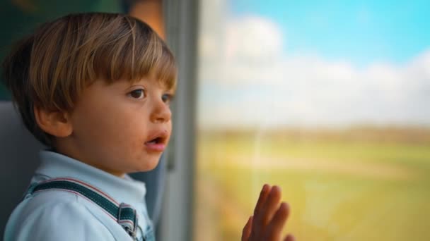 Дитина Спирається Вікно Поїзда Подорожує Спогляданням — стокове відео