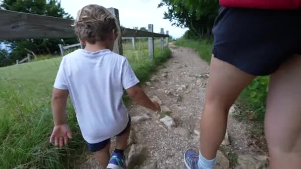 Niño Madre Senderismo Aire Libre Naturaleza Padres Niños Caminando Naturaleza — Vídeo de stock