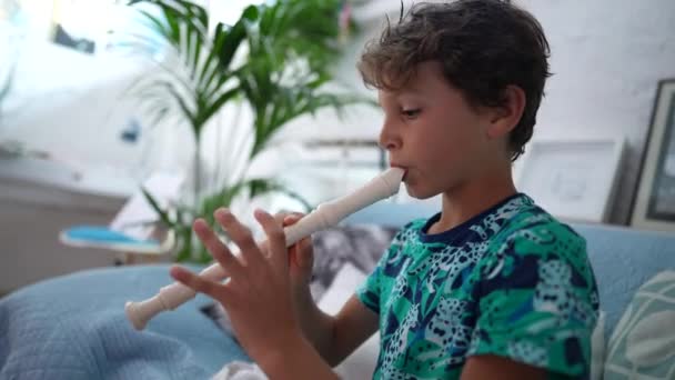 Criança Tocando Flauta Menino Toca Instrumento Musical — Vídeo de Stock