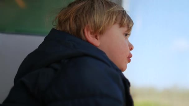 Kind Fährt Mit Dem Zug Durch Grüne Landschaft Bei Hochgeschwindigkeitstransport — Stockvideo