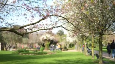 Sonbahar sezonu Avrupa şehir parkı