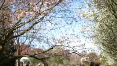 Sonbahar sezonu Avrupa şehir parkı