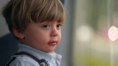 Trenle seyahat eden düşünceli bir çocuk, gezide yanından geçen manzaraya bakan bir çocuk.