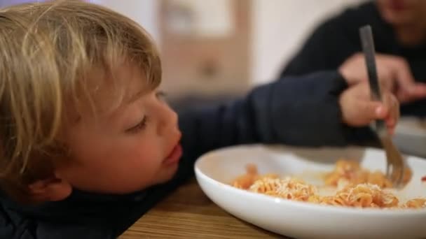 Kleiner Junge Isst Pasta Mit Gabel Child Isst Nudeln Zum — Stockvideo