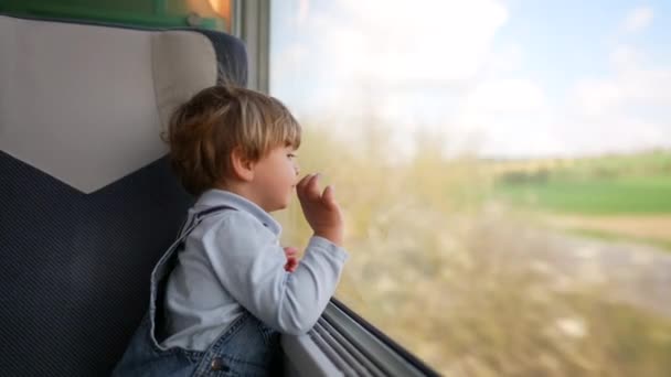 Маленький Хлопчик Дивиться Пейзаж Подорожує Поїздом Спираючись Вікно — стокове відео
