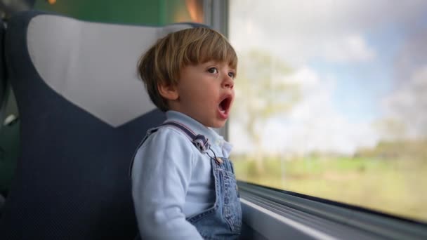 Bebê Bonito Viajando Trem Olhando Paisagem Passando Por — Vídeo de Stock