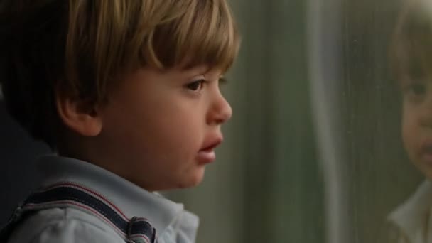 Carino Bambino Che Viaggia Treno Guardando Paesaggio Che Passa — Video Stock