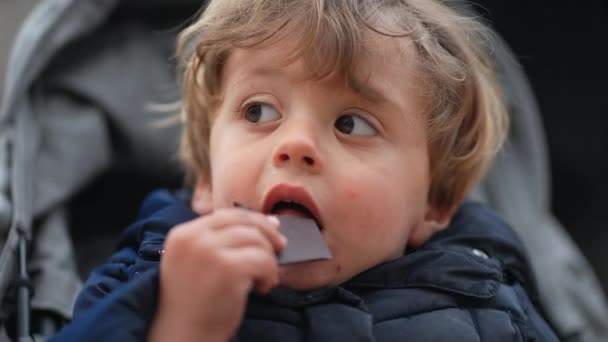 Mały Chłopiec Jedzący Kawałek Czekolady Dziecko Słodko — Wideo stockowe