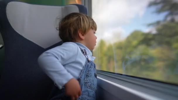 Sevimli Erkek Bebek Trenle Seyahat Ediyor Pencereden Dışarıyı Seyrediyor — Stok video