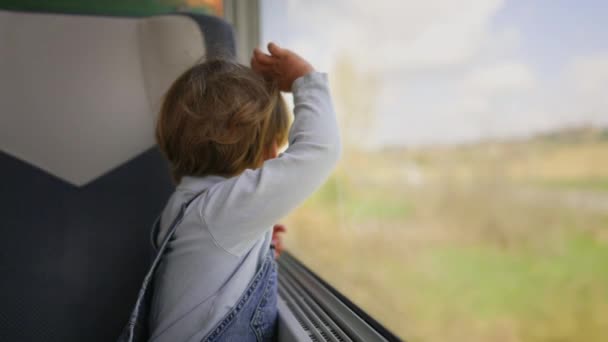 Küçük Çocuk Peyzaja Bakıyor Trenle Seyahat Ediyor Pencereye Yaslanıyor — Stok video
