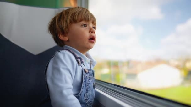 Rapazinho Pensativo Olhar Pela Janela Comboio Criança Pensativa Contemplativa — Vídeo de Stock