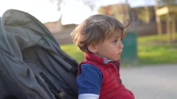 Pensive Kleine Jongen Kinderwagen Buiten Contemplatief Kind Peuter Wandelen — Stockvideo