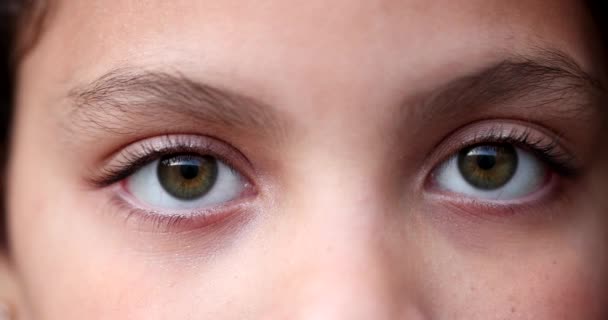 Barn Gröna Ögon Makro Närbild Flicka Ansikte Tittar Kameran — Stockvideo