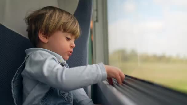 Однорічна Дитина Подорожує Поїздом Спираючись Вікно Дивлячись Пейзаж — стокове відео