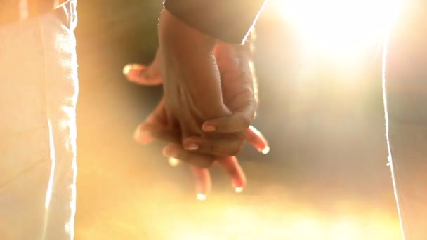 二人が手を携えて太陽の光を背景に二人の恋人の間で美しいロマンチックな瞬間 — ストック動画