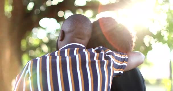 Parte Trás Casal Afro Americano Beijando Fora Parque Com Luz — Vídeo de Stock