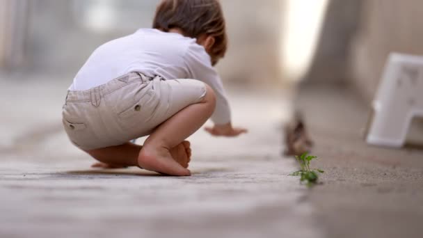 地面に落ちて子供を育てる少年は立ち上がる — ストック動画