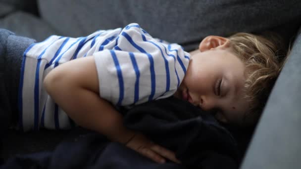 Kanepede Uyuyan Küçük Çocuk Kanepeye Uzanmış Kestiriyor — Stok video