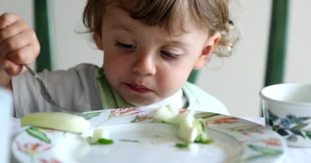 Βρέφος Αγόρι Τρώει Σέλινο Λαχανικών Πιρούνι Στο Μεσημεριανό Γεύμα — Αρχείο Βίντεο