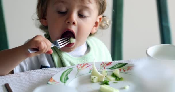 Dítě Batole Chlapec Jíst Celer Zelenina Vidličkou Obědě — Stock video