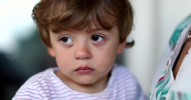 幼儿肖像男孩的脸 沉思的孩子的表情 — 图库视频影像