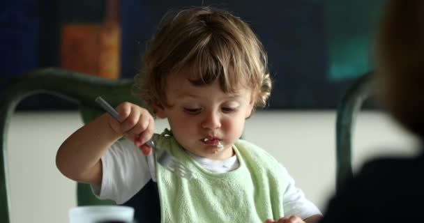 Petit Garçon Crachant Nourriture Dans Une Assiette Pendant Repas Enfant — Video
