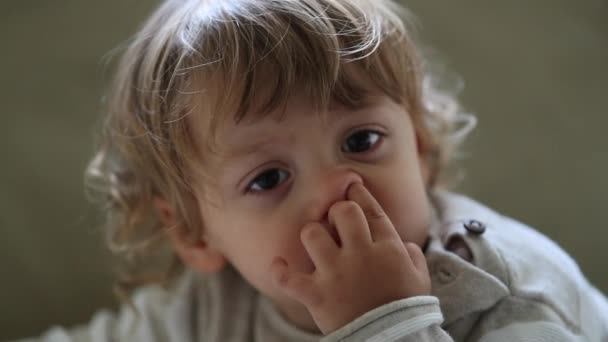 幼児の鼻狩り 子供は鼻を選ぶ — ストック動画