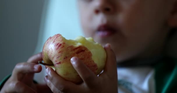 Mãos Criança Segurando Maçã Vermelha Criança Mantém Fruta — Vídeo de Stock