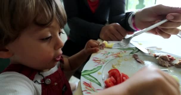 Ώρα Γεύματος Γεύματος Γευμάτων Μωρών Σίτισης Μητέρων — Αρχείο Βίντεο