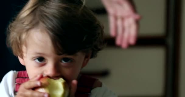 Χαριτωμένο Αγοράκι Τρώει Πράσινο Μήλο Προσωπογραφία Αξιολάτρευτο Παιδί — Αρχείο Βίντεο