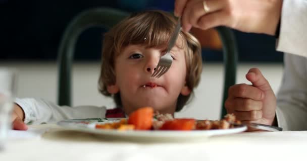 Petit Garçon Table Déjeuner Parent Nourrir Son Fils Tout Petit — Video