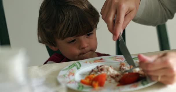 子供の息子への母親の食事 — ストック動画