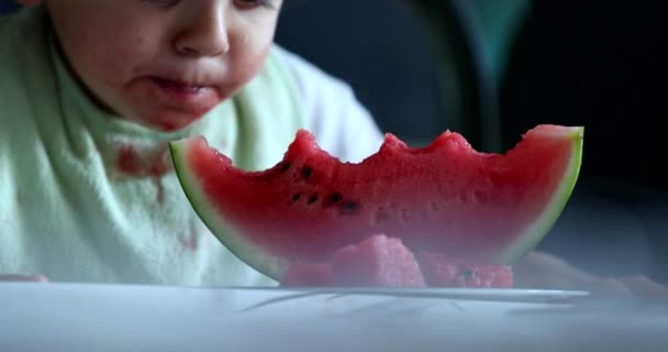 Criança Comendo Frutas Melancia Melancia Prato — Vídeo de Stock