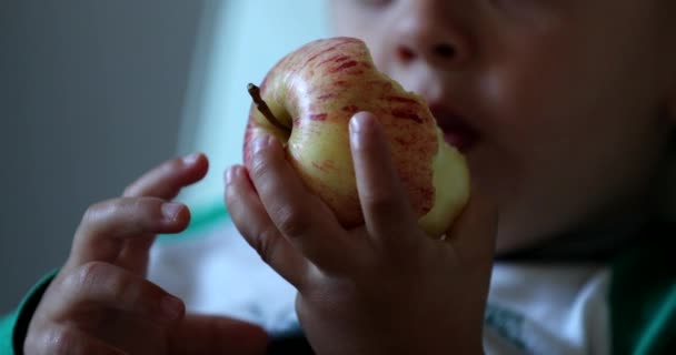 Bambino Che Mangia Mele Bambino Che Prende Morso Spuntino Frutta — Video Stock