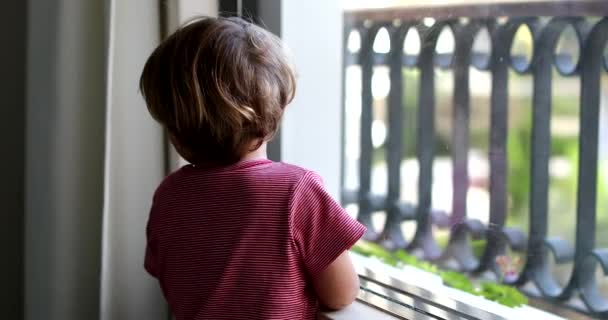 Kleines Kleinkind Schaut Fenster Stehend Nach Draußen — Stockvideo