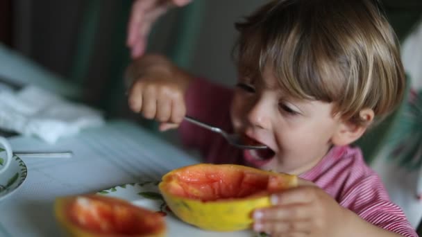 Küçük Bebek Kaşıkla Papaya Meyvesi Yiyor — Stok video