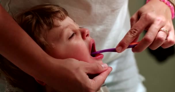 Föräldraborstning Småbarn Tänder Innan Sängen Mamma Borstar Barntänder — Stockvideo