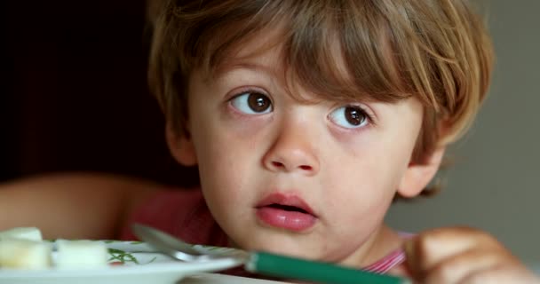 头脑清醒的小孩坐在饭桌旁拿着叉子 沉思的小孩 — 图库视频影像