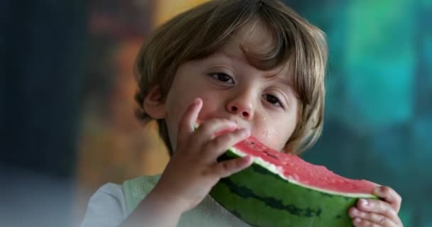 Criança Comendo Melancia Criança Comendo Frutas — Vídeo de Stock