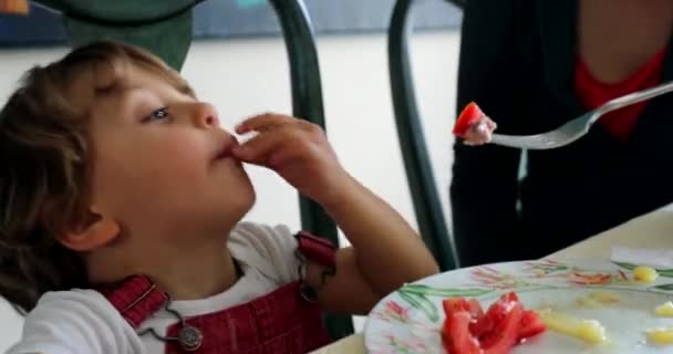 접시에서 손으로 음식을 움켜쥐는 아기에게 먹이는 어머니 — 비디오
