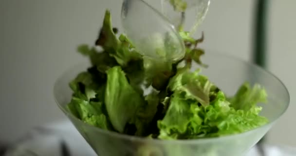 Mélange Feuilles Vertes Salade Close — Video