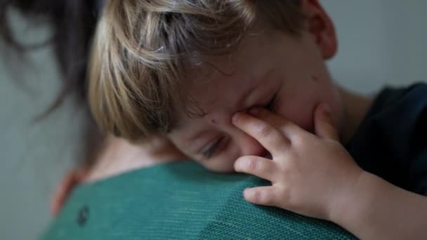 Один Слезливый Маленький Мальчик Плачет Мать Утешает Ребенка — стоковое видео
